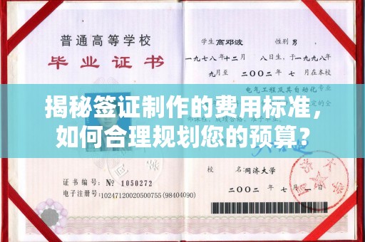 霞浦揭秘签证制作的费用标准，如何合理规划您的预算？